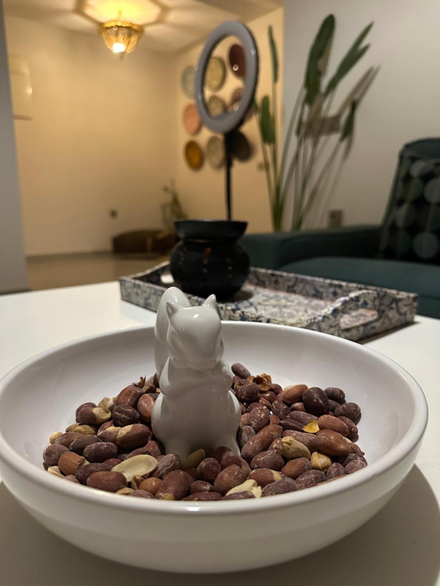 Majorelle Splendide Appartement Marrakesh Ngoại thất bức ảnh